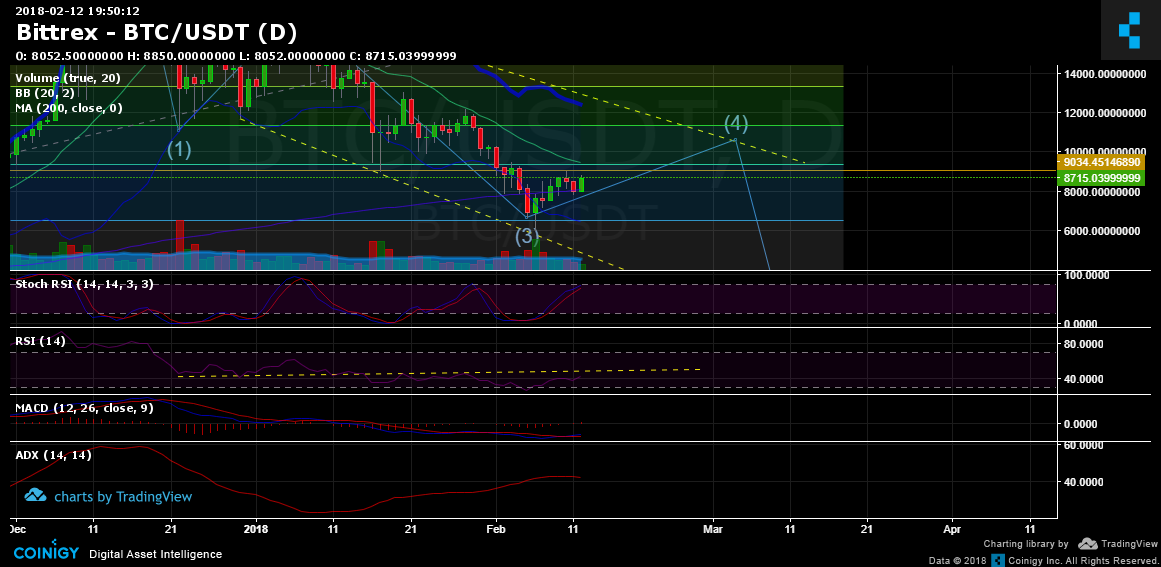 bittrex btc to usdt