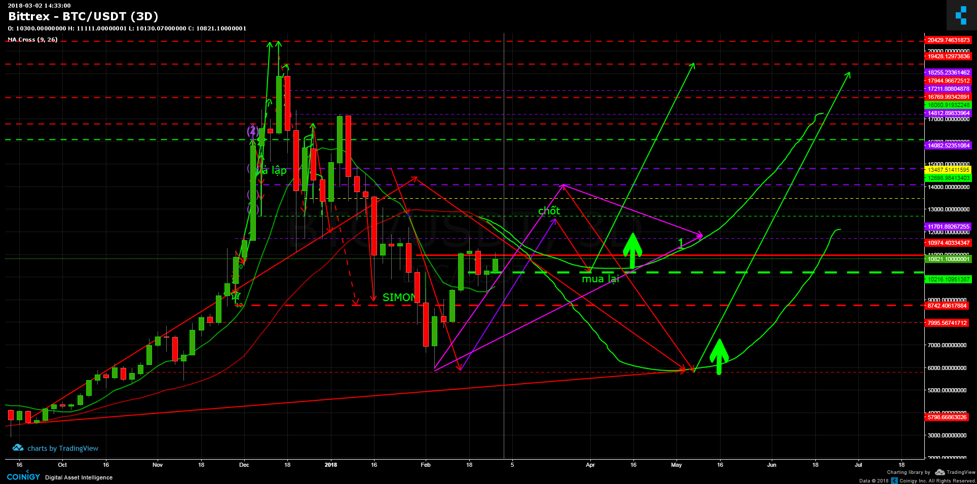 bittrex btc to usdt